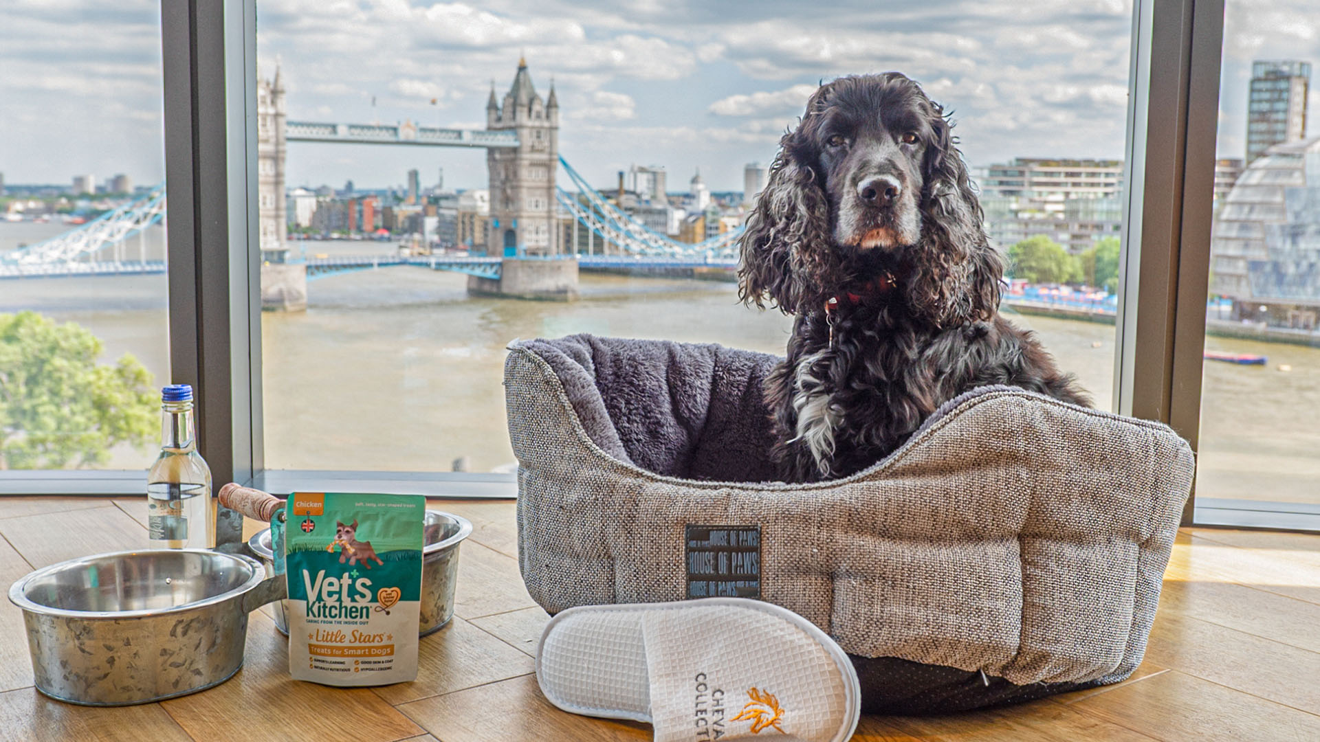 Dog Friendly London