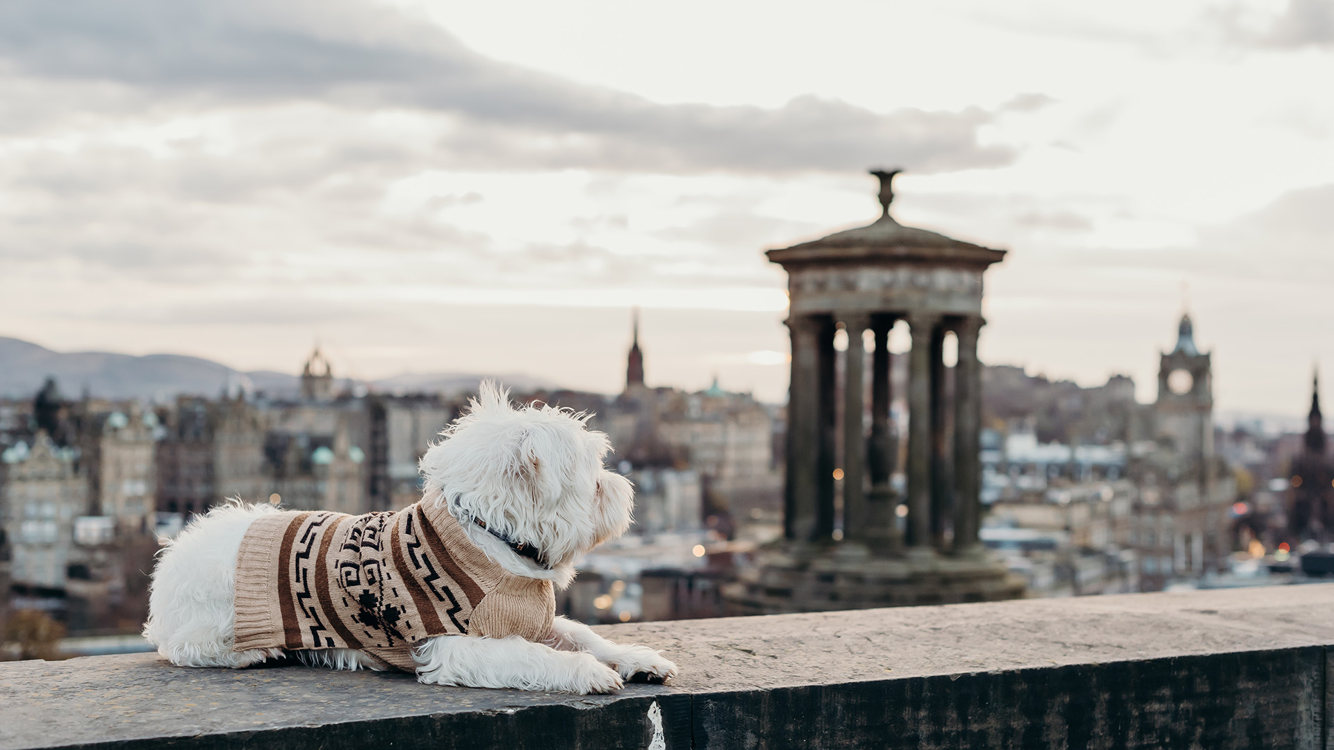 Dog Friendly Edinburgh