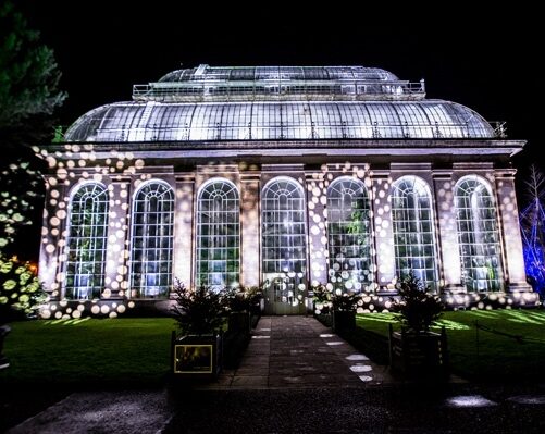 Christmas at the Botanics