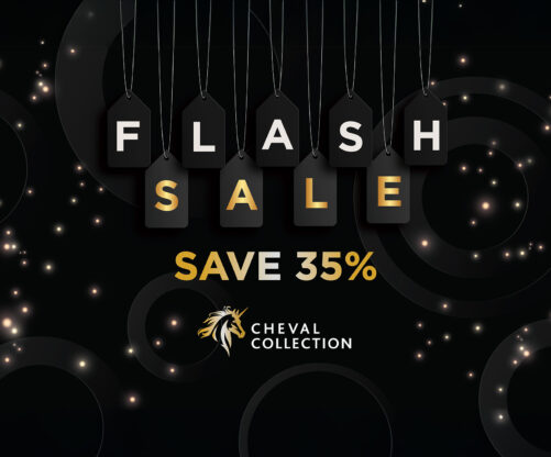 35% OFF Flash Sale