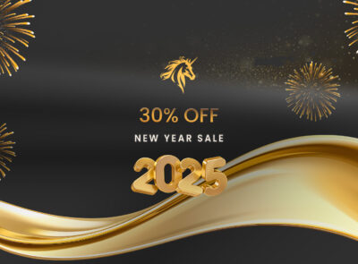 Webiste - New Year Sale 2025