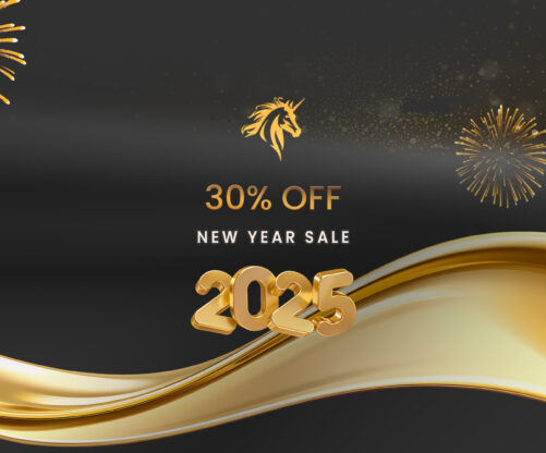 New Year Sale 2025