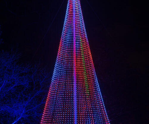 Christmas at Kew Gardens