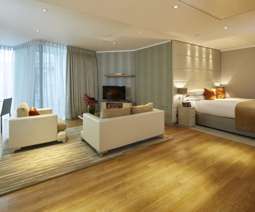 Luxury Open Plan Apartment